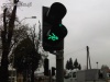 No, w końcu zielone!