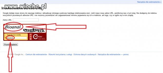 Nowe oblicze sexu oralnego.