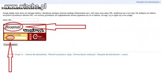 Nowe oblicze sexu oralnego.