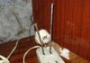 Pstryczek elektryczek