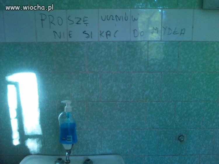 Polskie szkoły