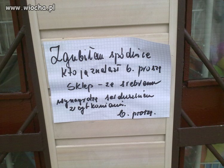 Może ktoś wie gdzie zguba?