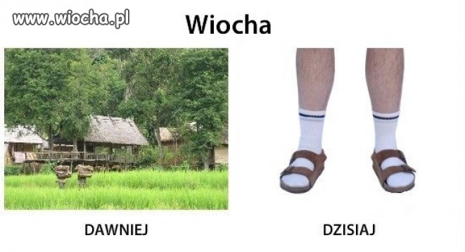 Dopasował te skarpetki Sexi 