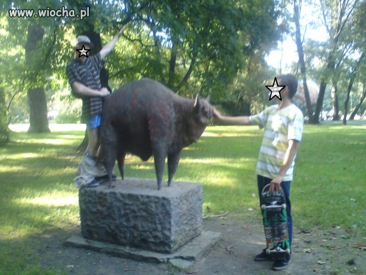 Takie tam z żubrem.