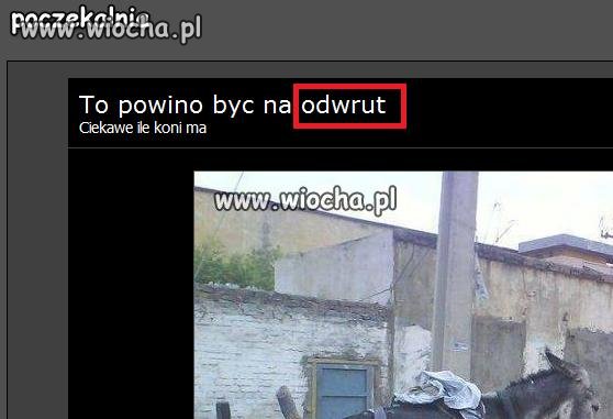 Wiocha na wiocha.pl