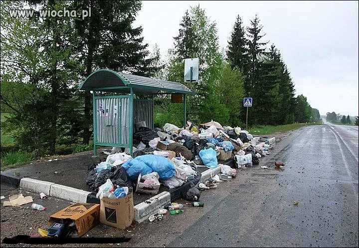 W oczekiwaniu na autobus