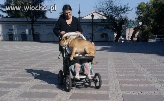 Kochająca
