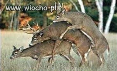 Tak też można...