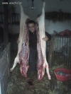 Takie tam 