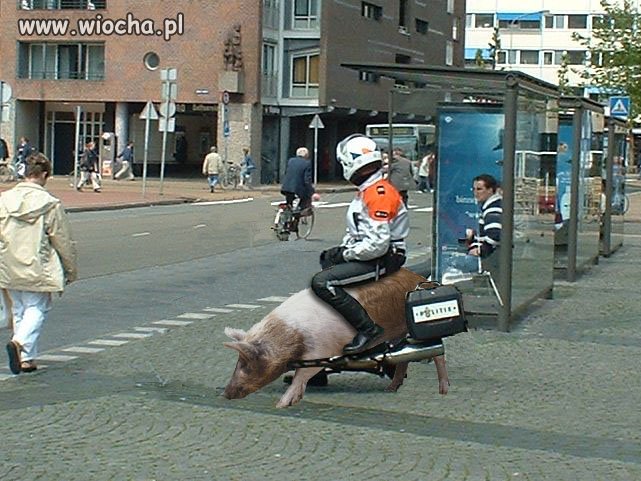 Policyjny motor