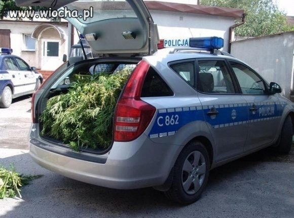 "Marysia" jedzie z nami!