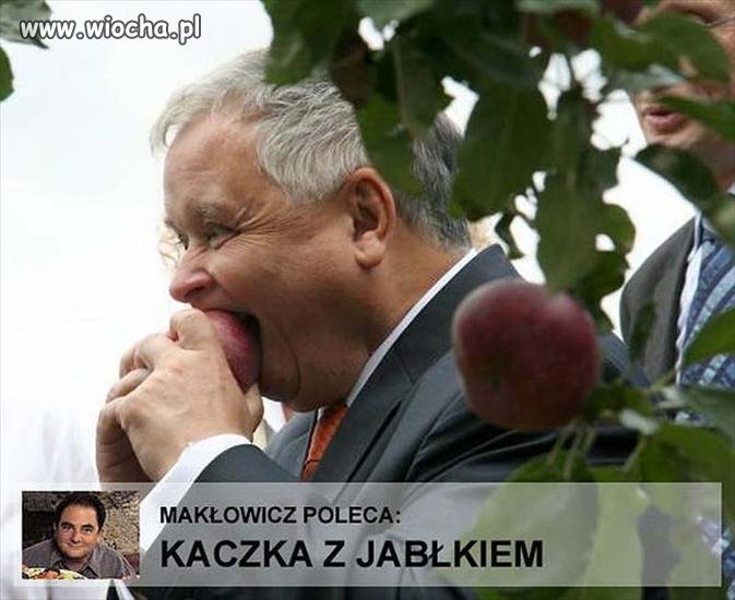 W sadzie!