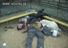 Uroki polskich placy zabaw