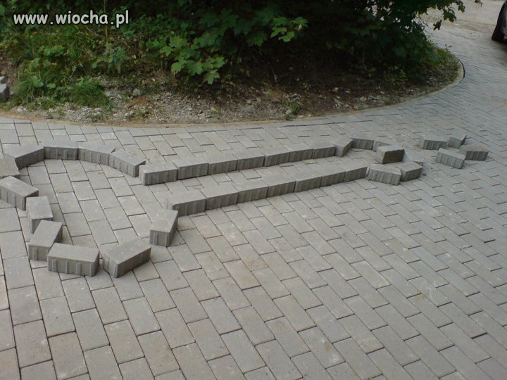 Jeden wielku ch*j 