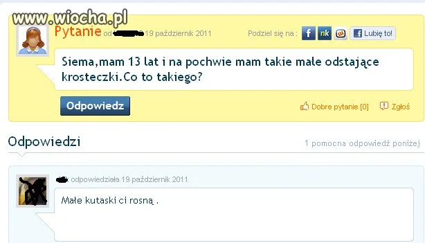 Głupie Pytanie