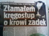 Ciekawe co złamała krowa?