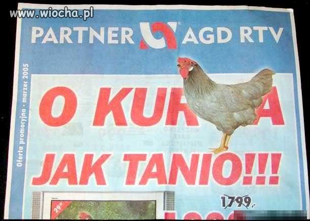 O kura...