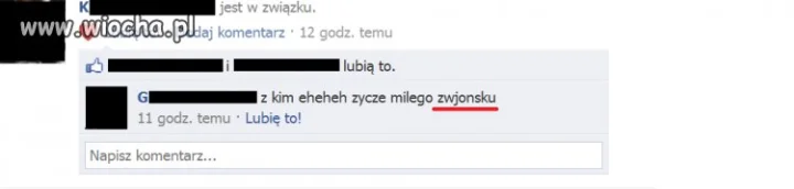 Polski język trudna sprawa...