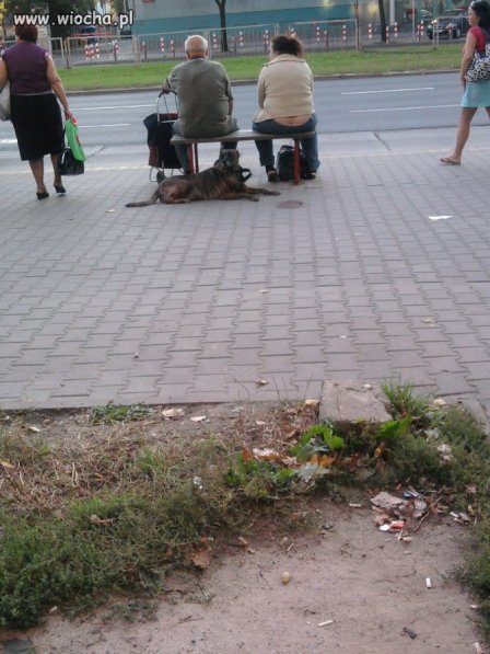 W oczekiwaniu na autobus. 