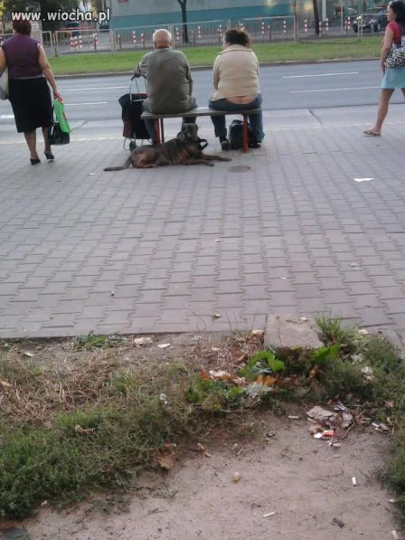 W oczekiwaniu na autobus. 
