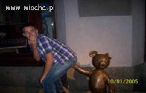 Misio zawsze pomoże 