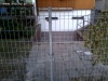 Yyyy... Wtf ? 
