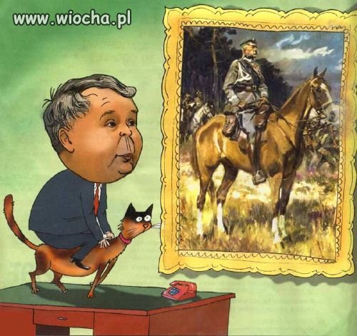 Porównanie...