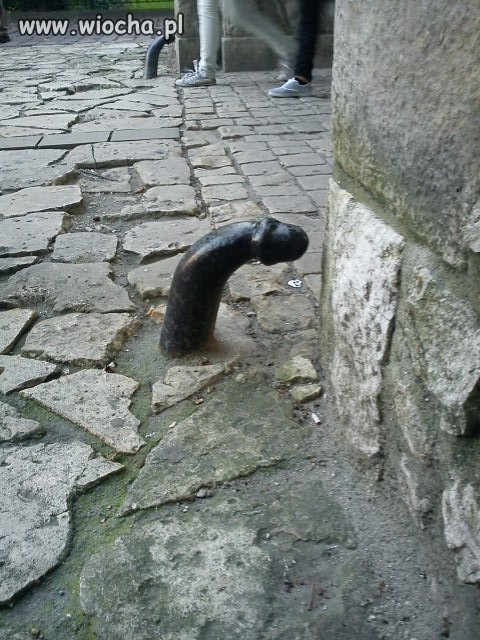 Kraków a w nim...
