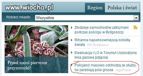 Pieskie zycie