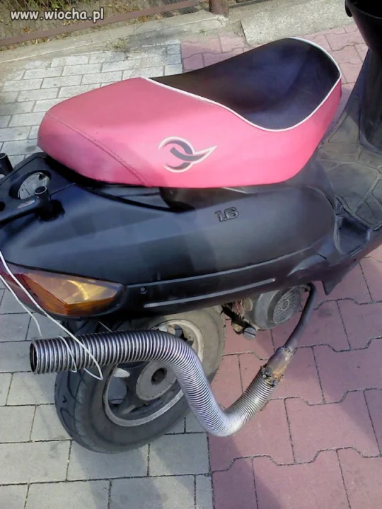 Polak potrafi.
