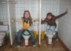 Kible zawsze w modzie 