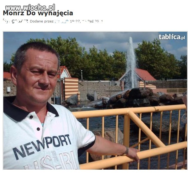 "Monrz" do wynajęcia 