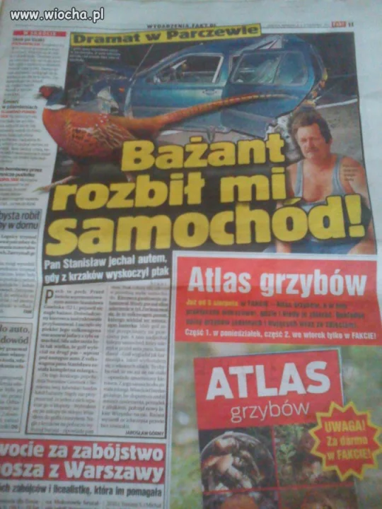WTF?