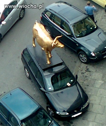 Ja się pytam