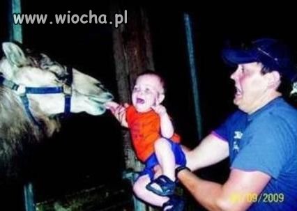 Nieodpowiedzialny rodzic