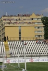 Kibice