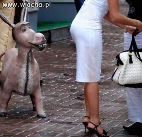 Osiołek