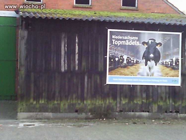 Nidersachsens Topmädels