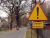 Haha,drzewo w jezdni