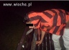 Zabawy dzisiejszej młodzieży. 