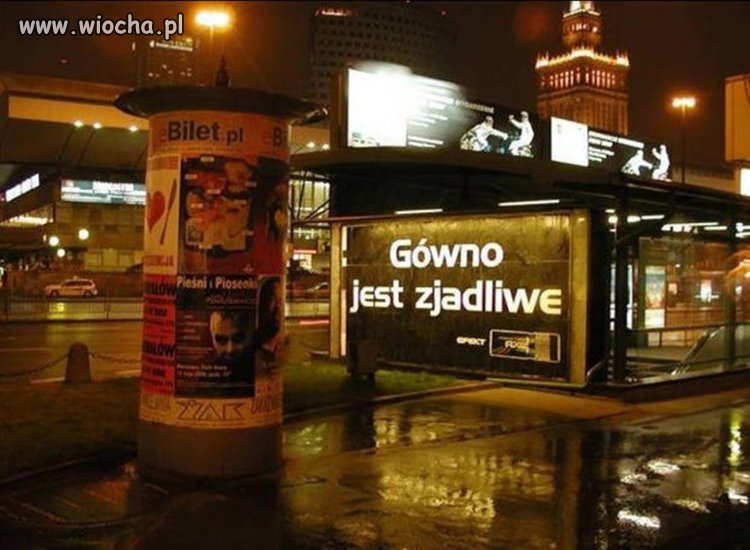 ""Gówno jest zjadliwe""