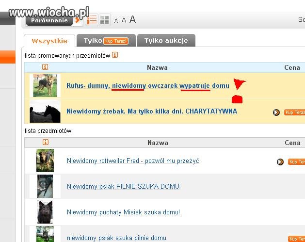 Niewidomy