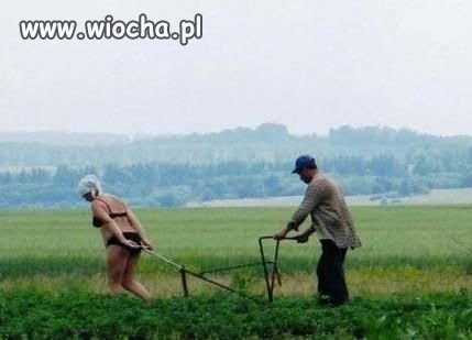 Wiocha na wiosce...