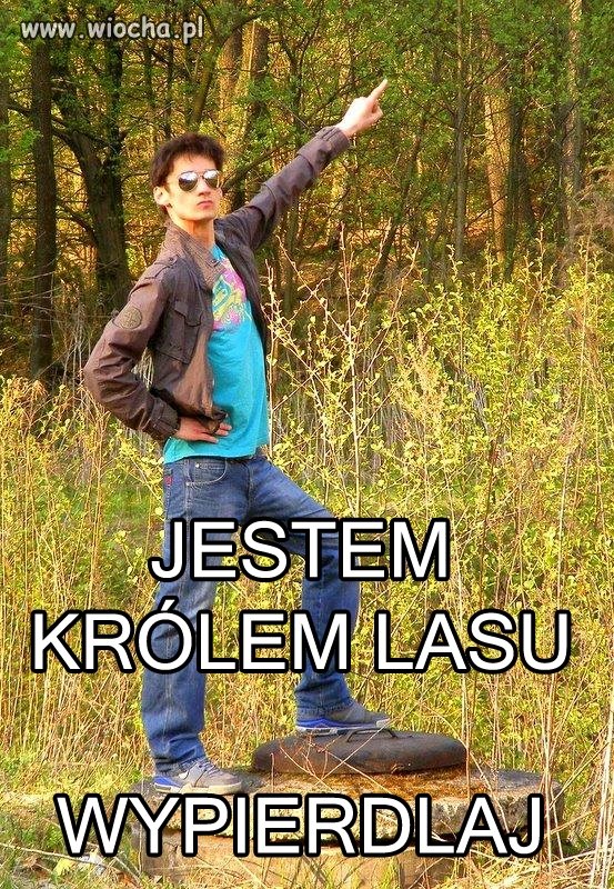 Jestem królem lasu 