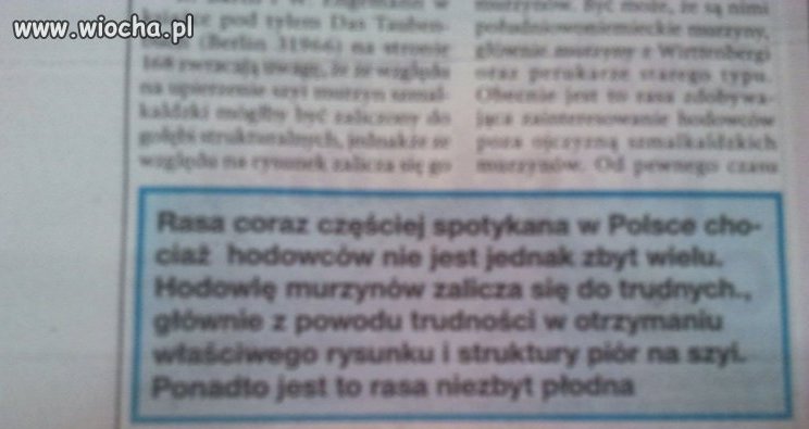 Poprawność polskich gazet.