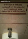 Inteligencja Ludzka