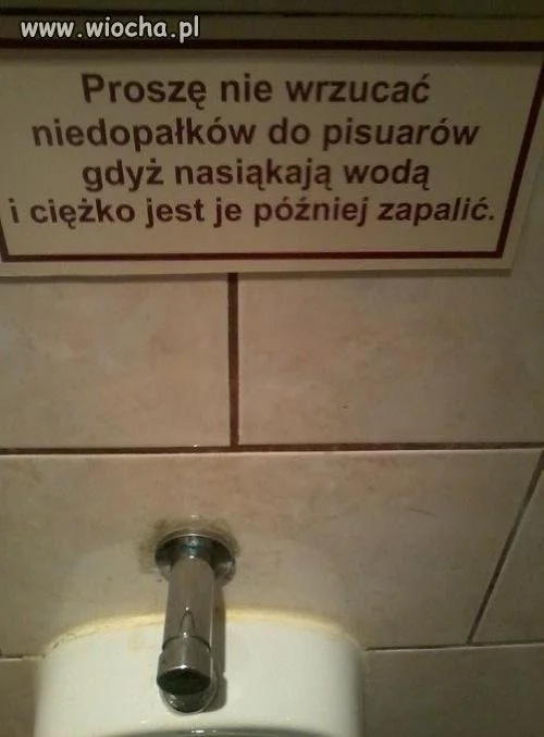 Inteligencja Ludzka