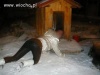 Hahahah ona