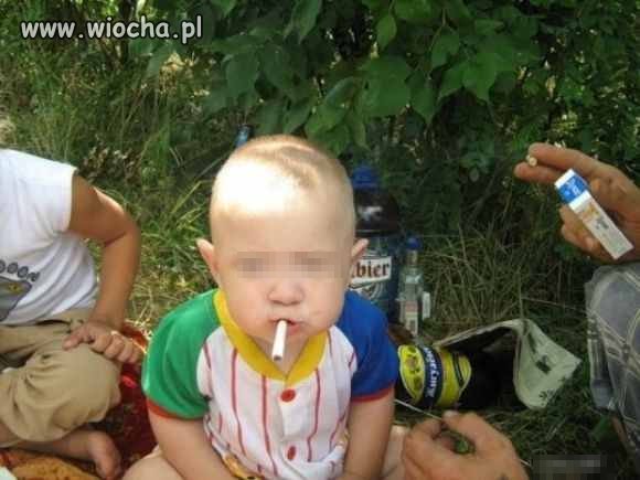 Jest faja