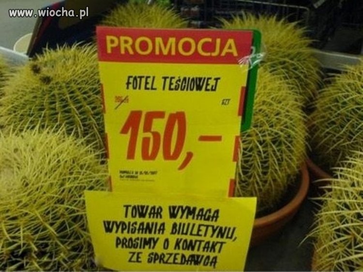Niezła promocja.